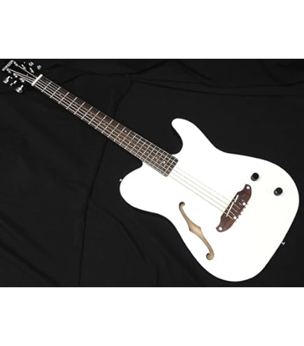 Amazon | SCHECTER OL-FL-P SSTB Oriental Line シェクター 薄胴